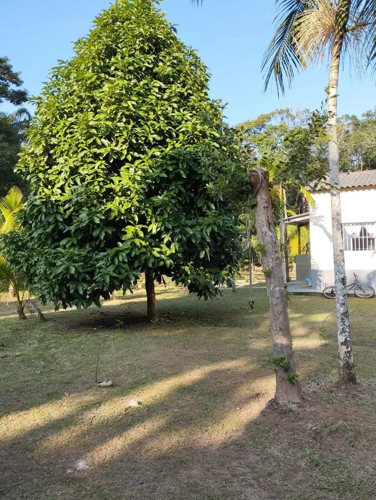 Chácara, 2 quartos, 1825 m² - Foto 3