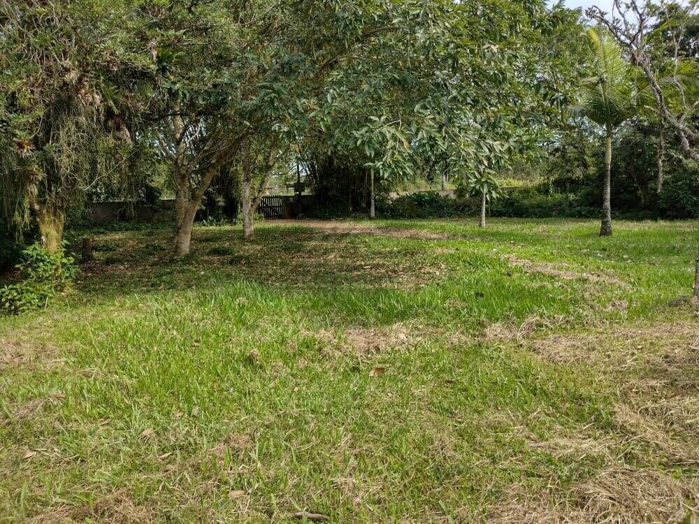 Chácara, 1 quarto, 5000 m² - Foto 4