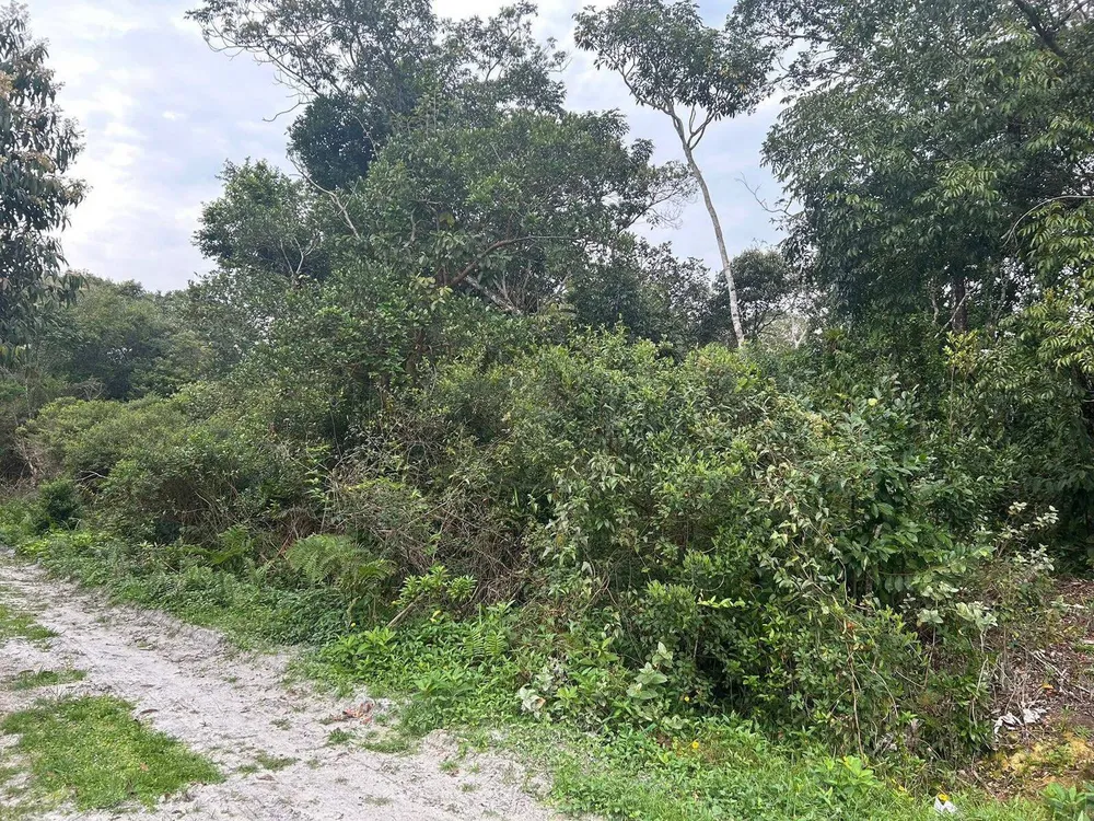 Terreno, 2400 m² - Foto 2