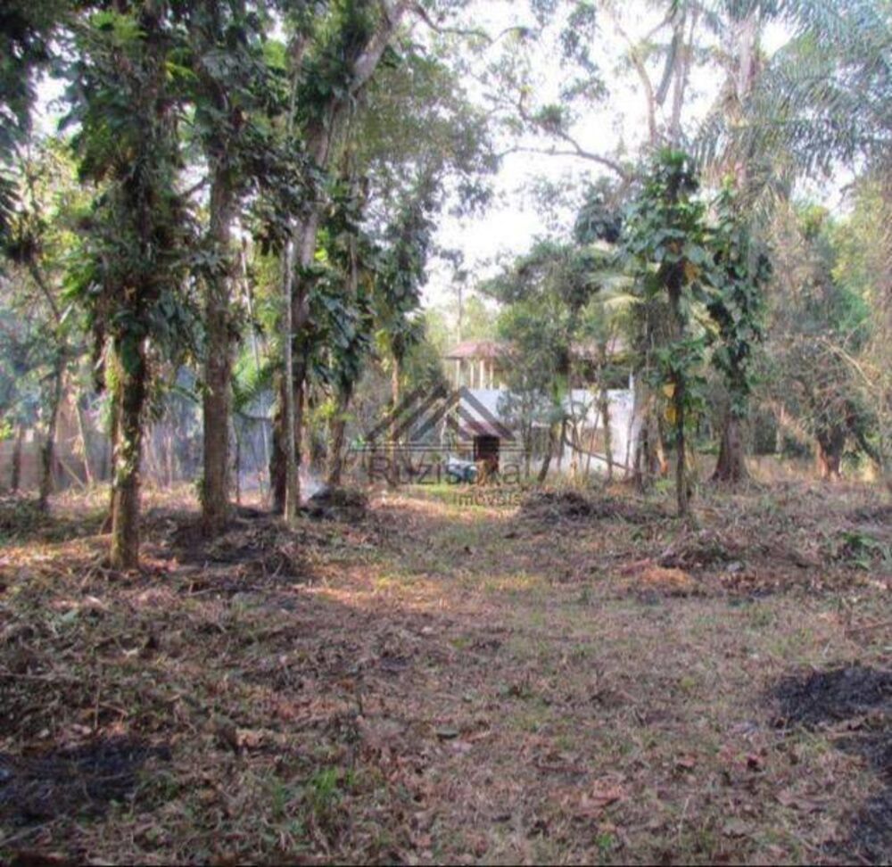 Chácara, 2 quartos, 1825 m² - Foto 3