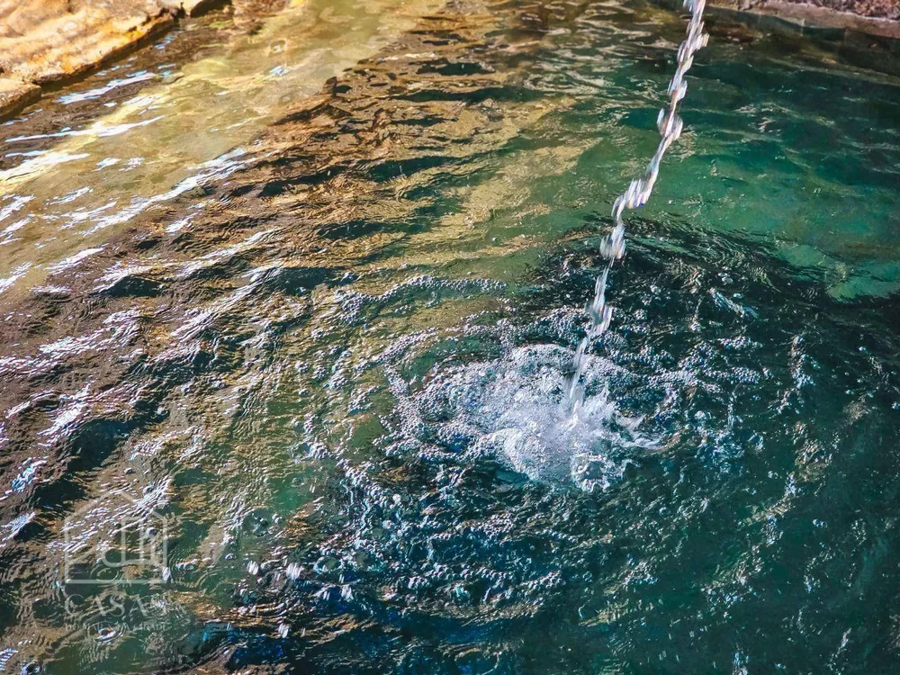 Casa, 7 quartos, 2000 m² - Foto 7