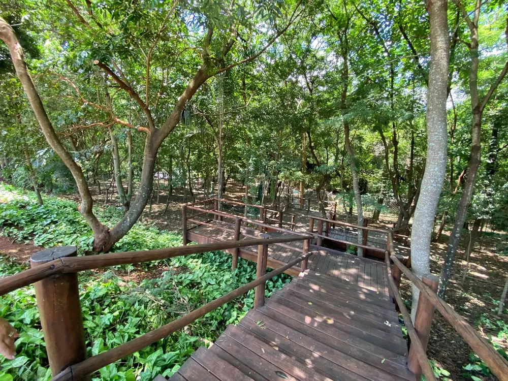 Terreno, 542 m² - Foto 3