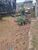 Terreno, 131 m² - Foto 3