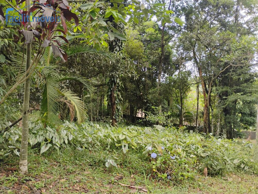Chácara à venda com 3 quartos, 6007m² - Foto 3