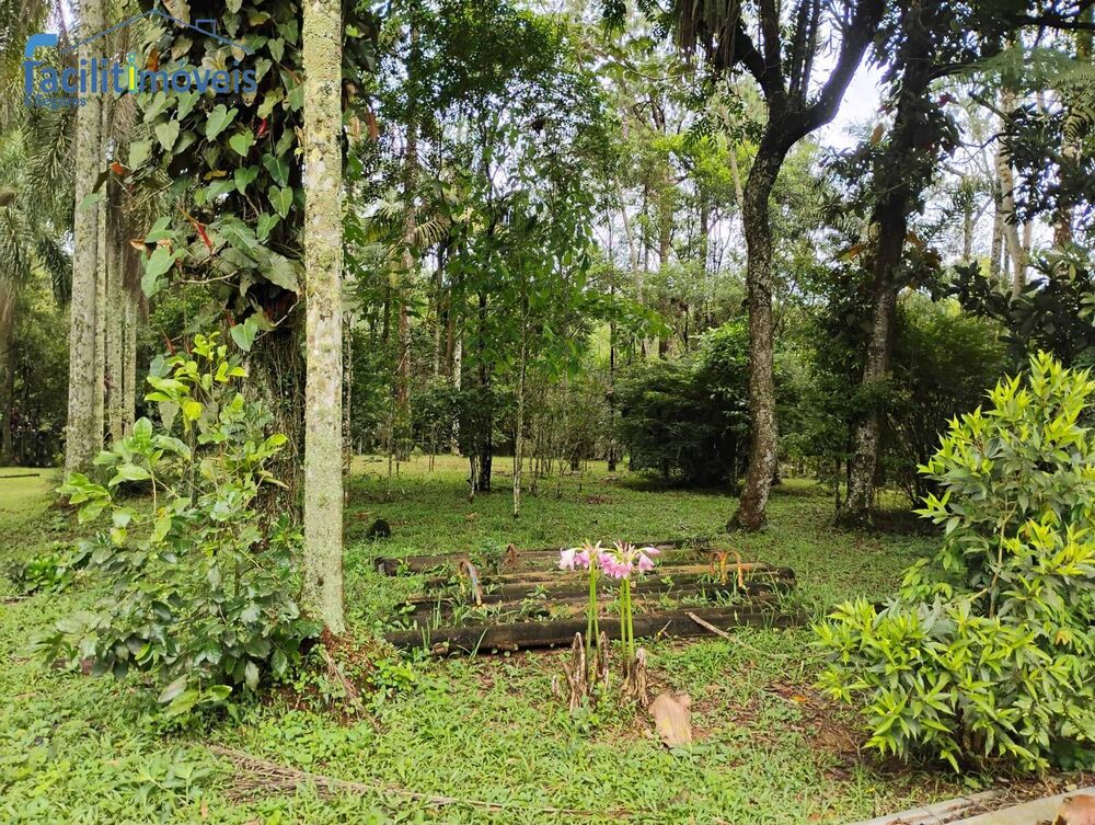 Chácara à venda com 3 quartos, 6007m² - Foto 2