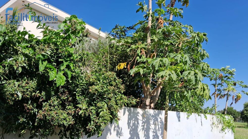 Sobrado, 2 quartos, 254 m² - Foto 3