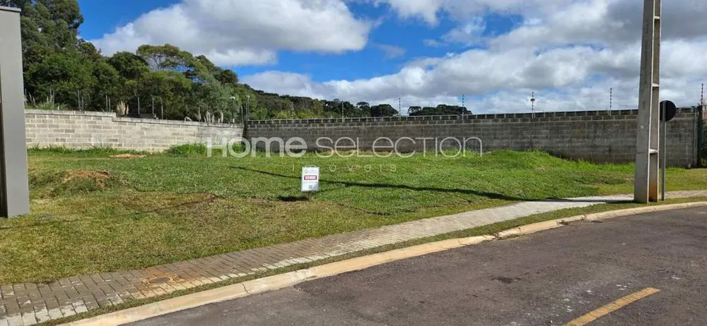 Terreno, 295 m² - Foto 3