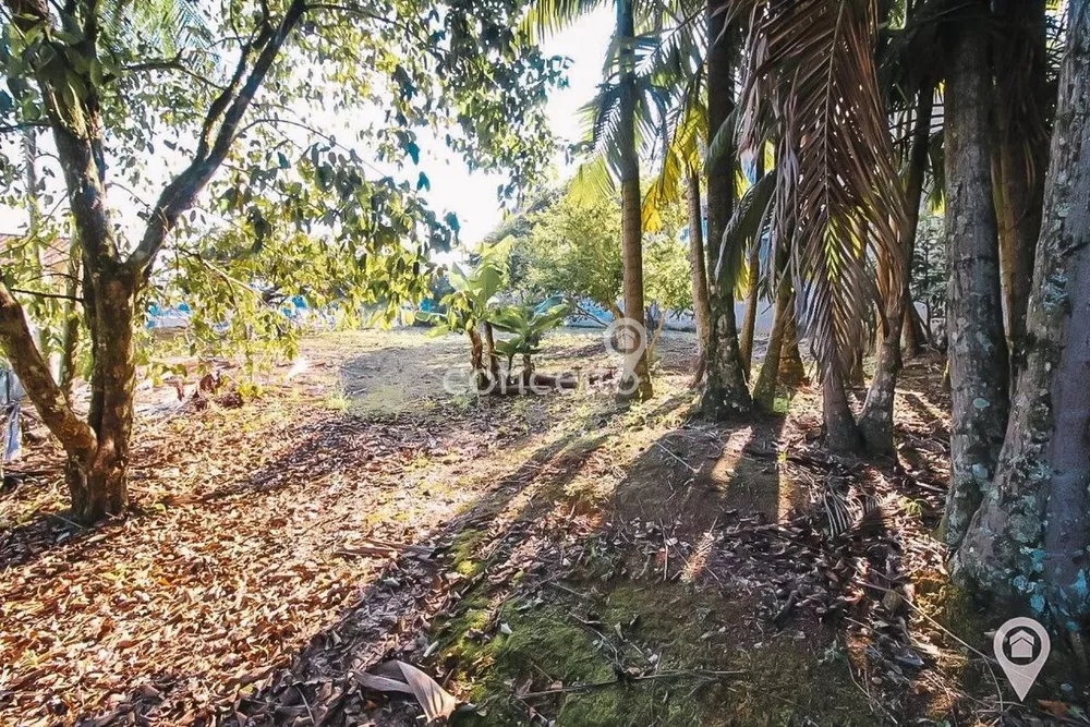 Terreno, 1116 m² - Foto 4