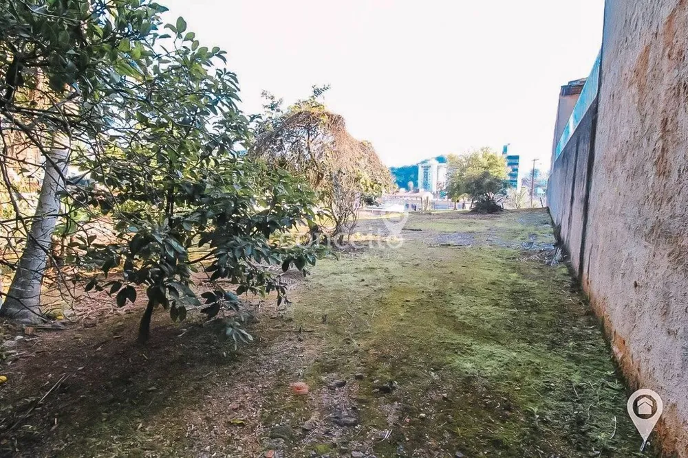 Terreno, 1116 m² - Foto 8