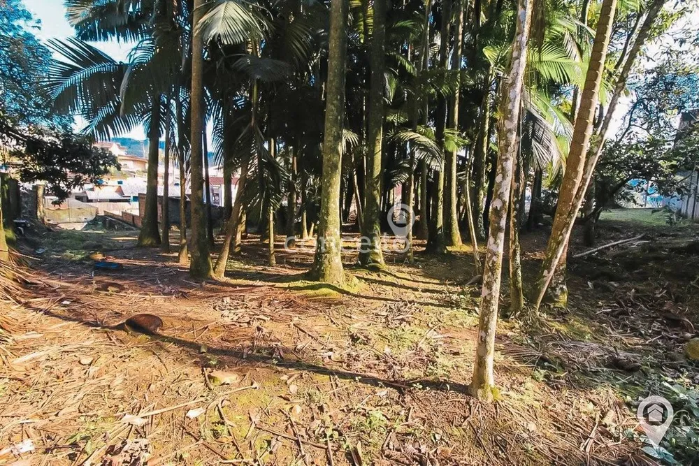 Terreno, 1116 m² - Foto 11
