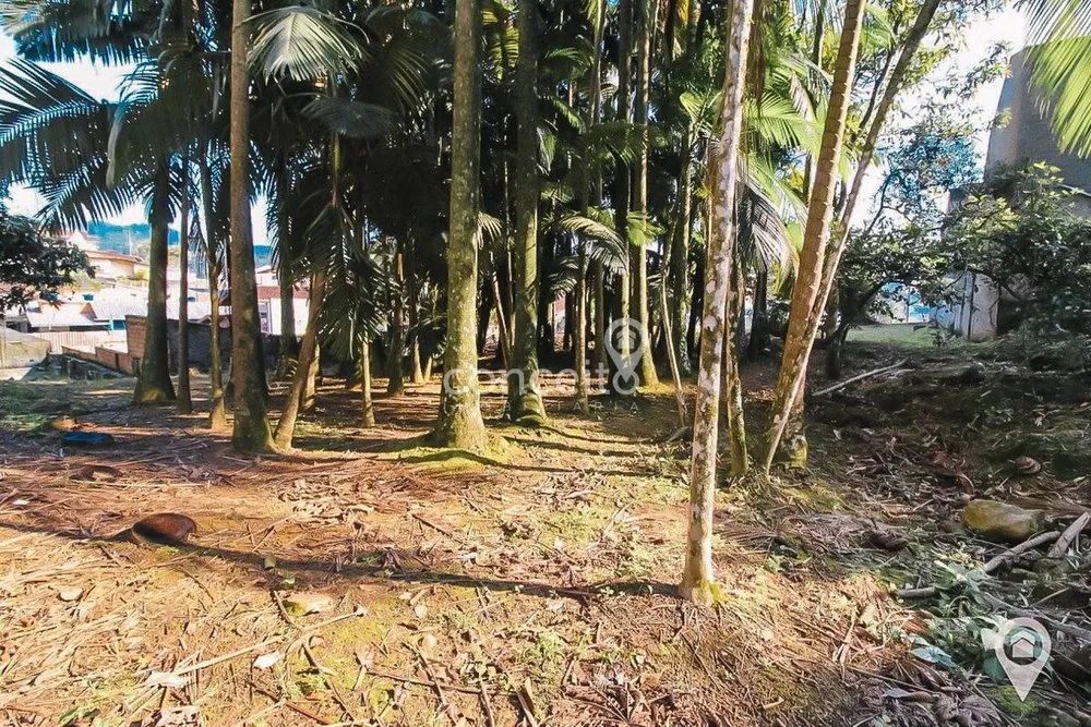 Terreno, 1116 m² - Foto 10