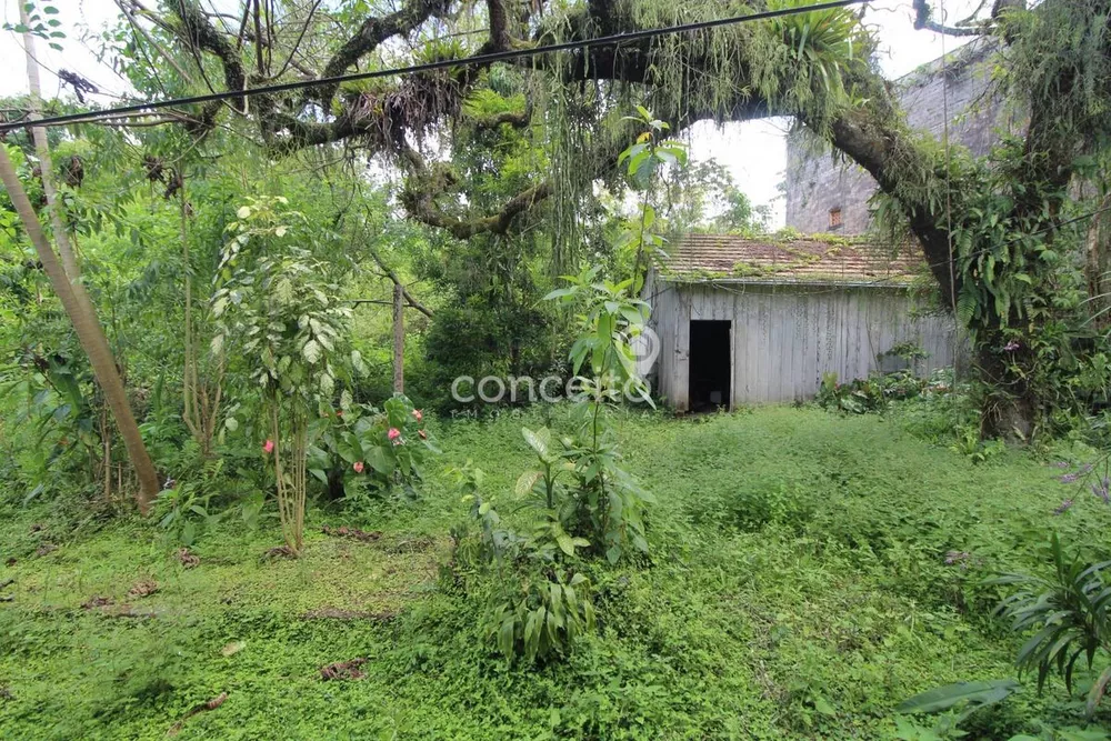 Terreno, 7400 m² - Foto 3