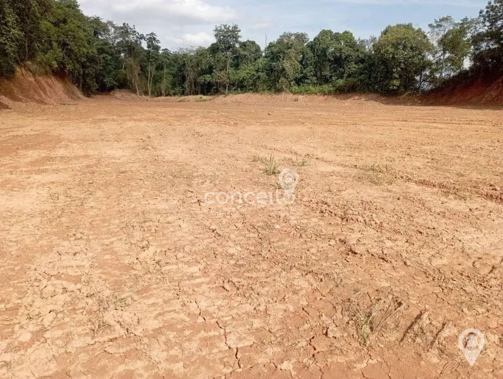 Terreno, 1 hectares - Foto 7