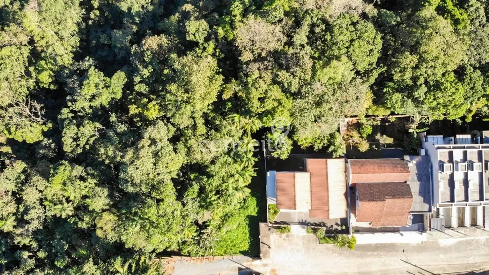 Terreno, 6139 m² - Foto 3