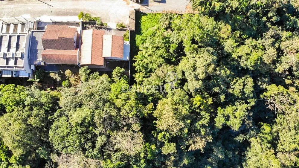 Terreno, 6139 m² - Foto 6