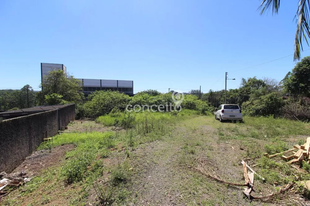 Terreno, 6500 m² - Foto 4