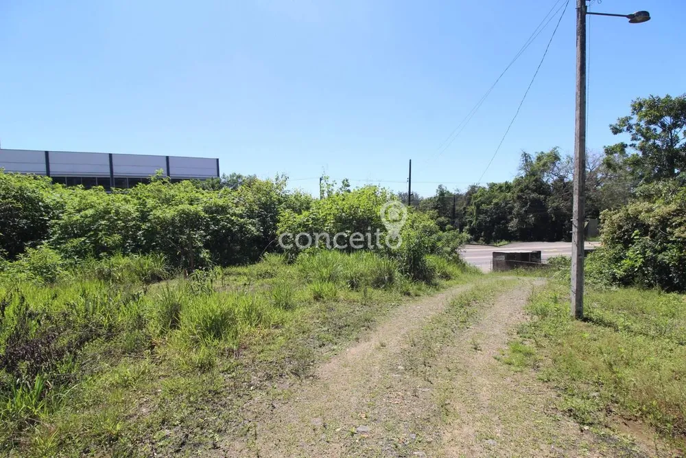 Terreno, 6500 m² - Foto 9