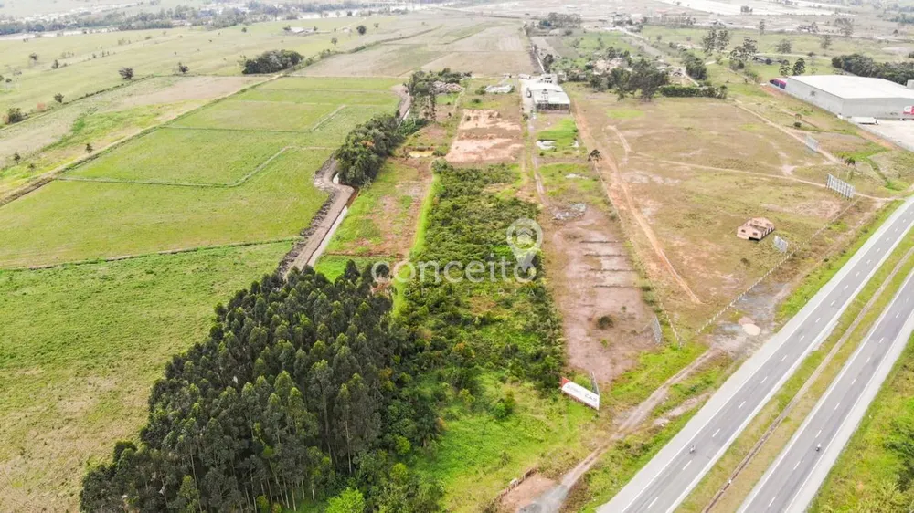 Terreno, 2 hectares - Foto 6
