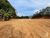Terreno, 1 hectares - Foto 4