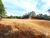 Terreno, 1 hectares - Foto 2