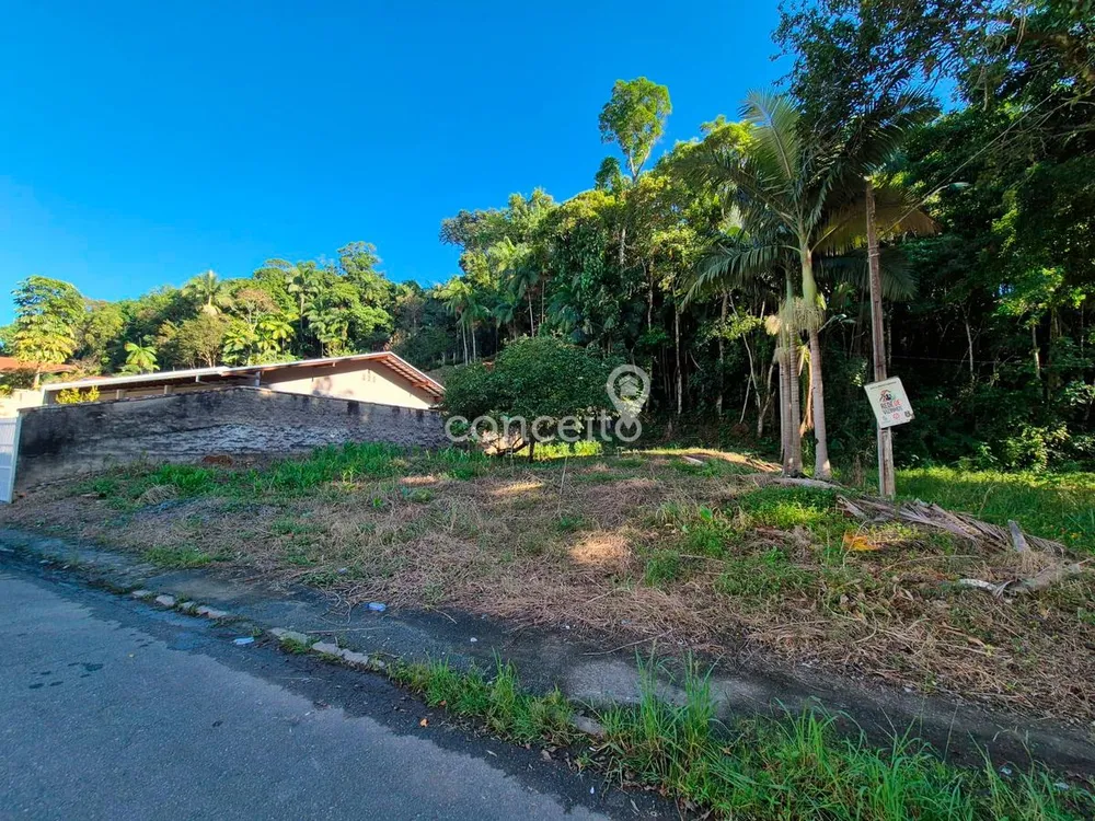 Terreno, 539 m² - Foto 2