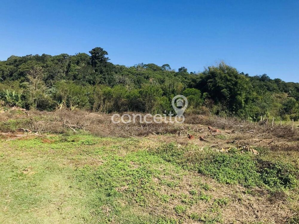 Terreno à venda, 20000m² - Foto 4