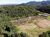 Terreno, 2 hectares - Foto 1