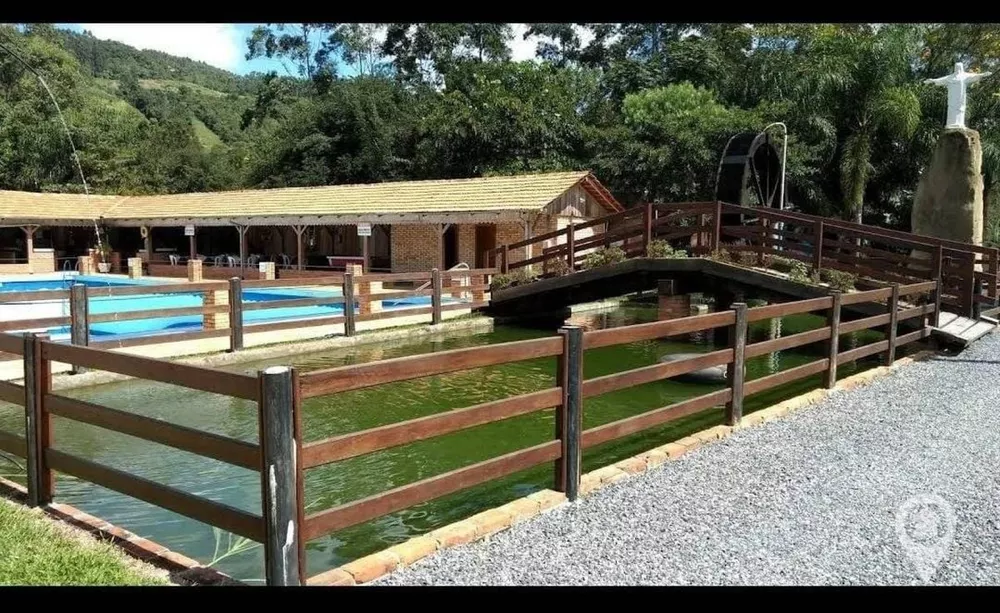 Fazenda à venda com 4 quartos, 6000m² - Foto 1