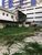 Terreno - Foto 2