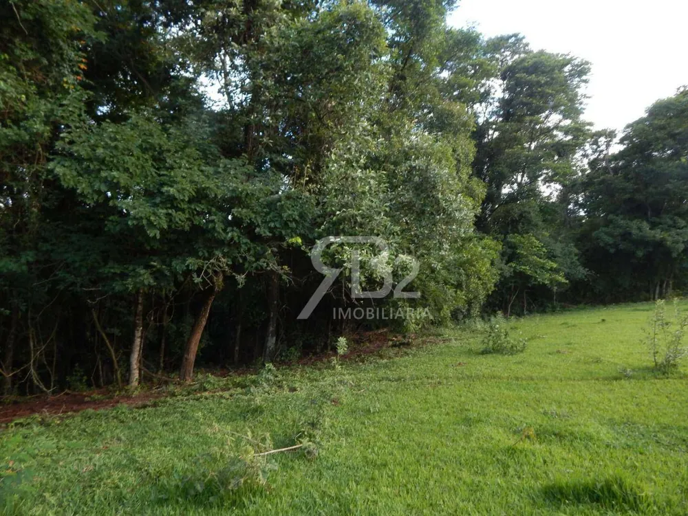 Terreno, 2 hectares - Foto 4