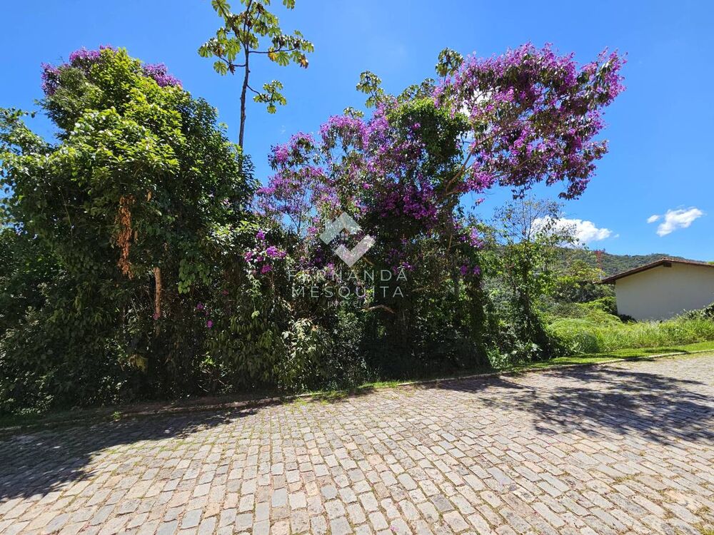 Terreno, 1377 m² - Foto 4