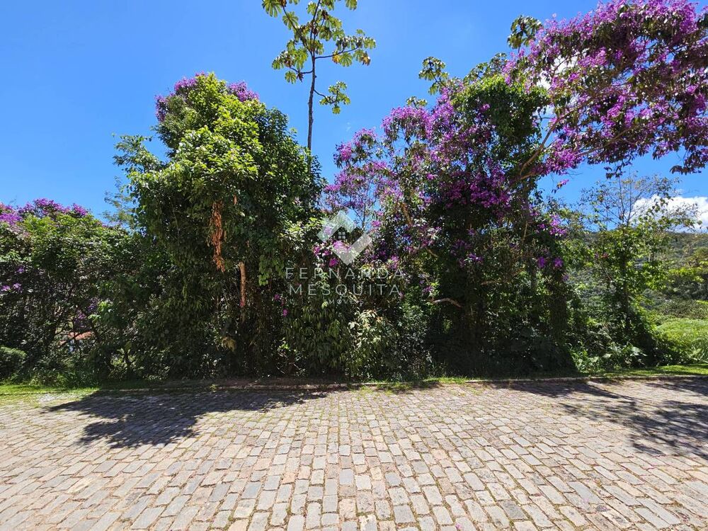 Terreno, 1377 m² - Foto 3