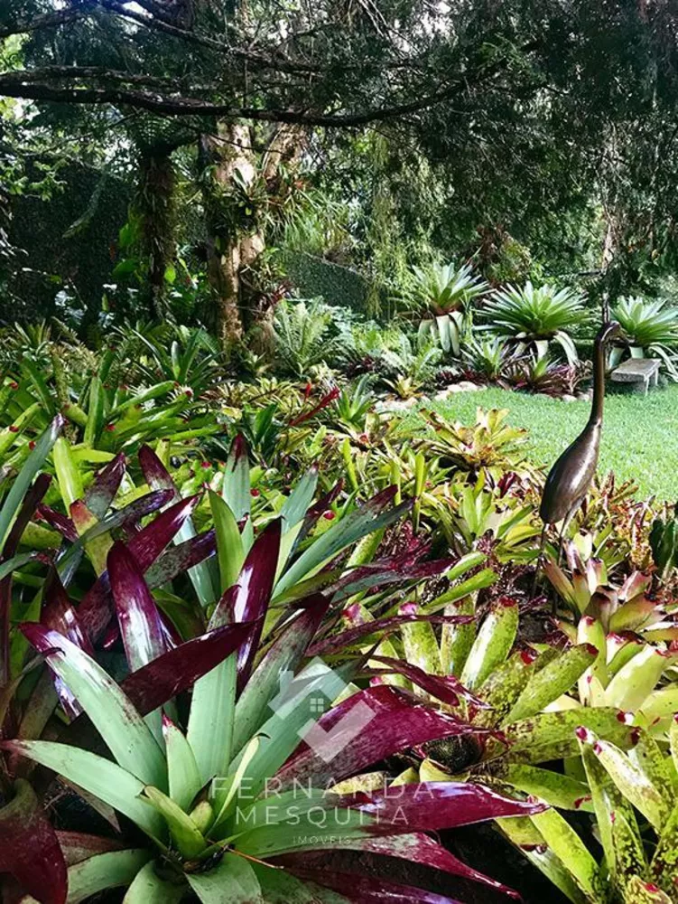 Sítio, 4 quartos, 420 m² - Foto 21