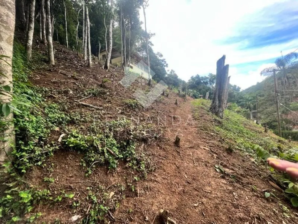 Terreno - Foto 3