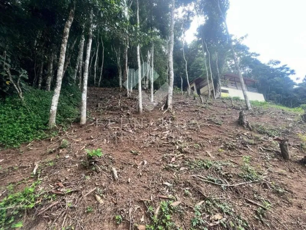 Terreno - Foto 2