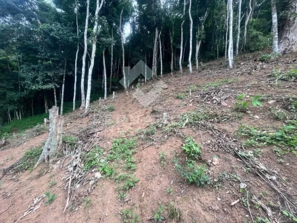 Terreno - Foto 4