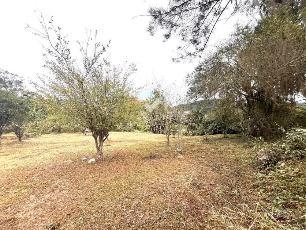 Sítio, 3 quartos, 150 m² - Foto 2