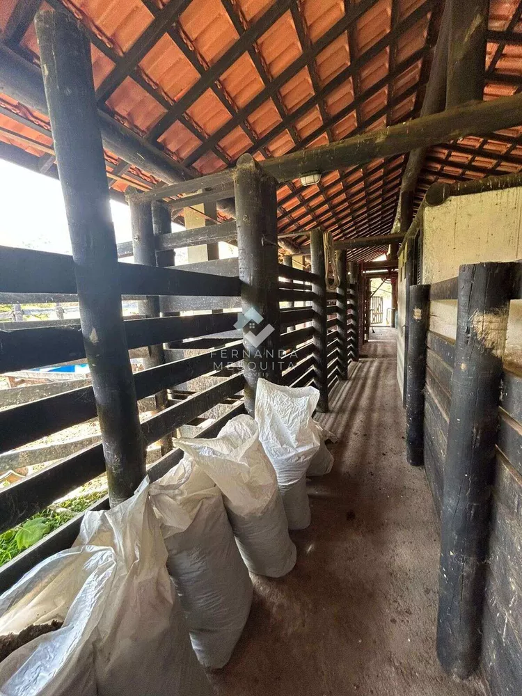 Sítio, 3 quartos, 300 m² - Foto 23