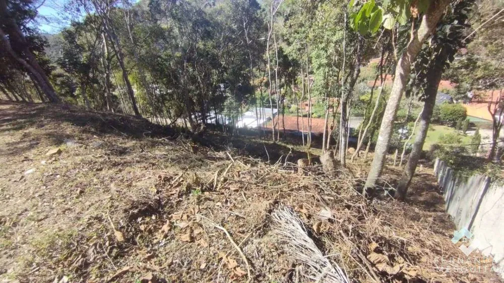 Terreno - Foto 6