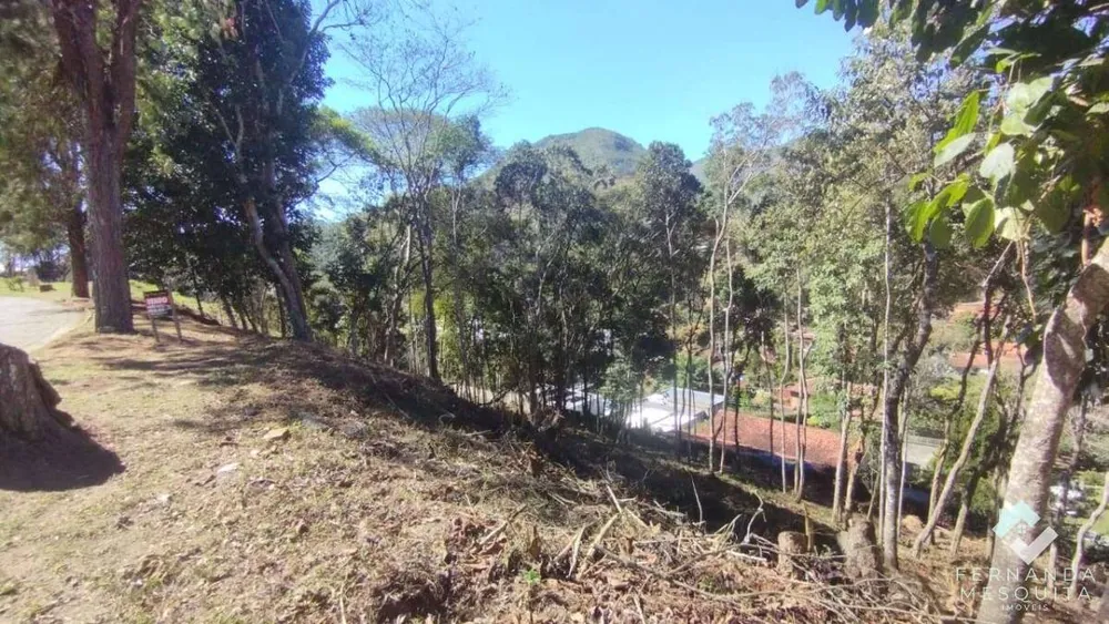 Terreno - Foto 4