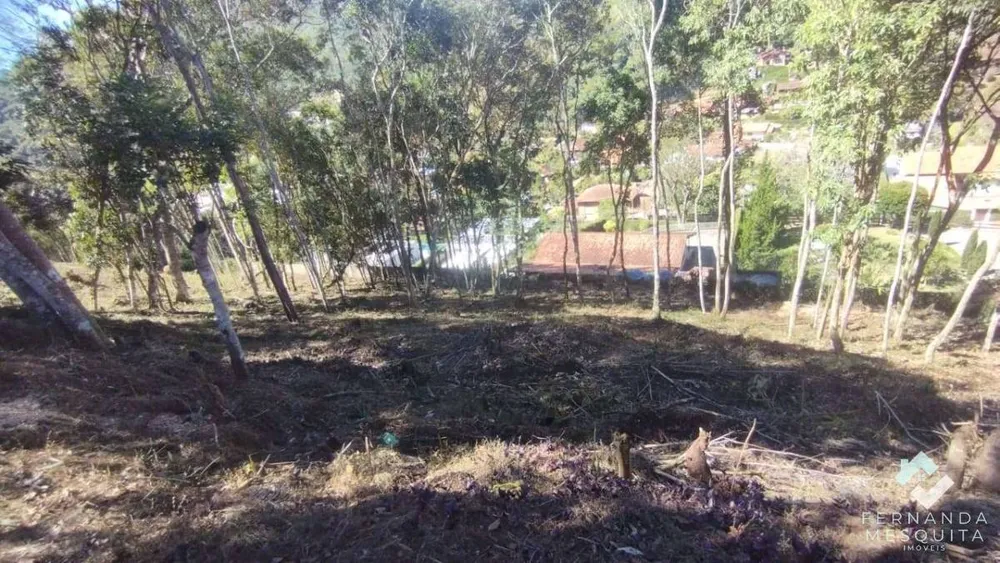 Terreno - Foto 5