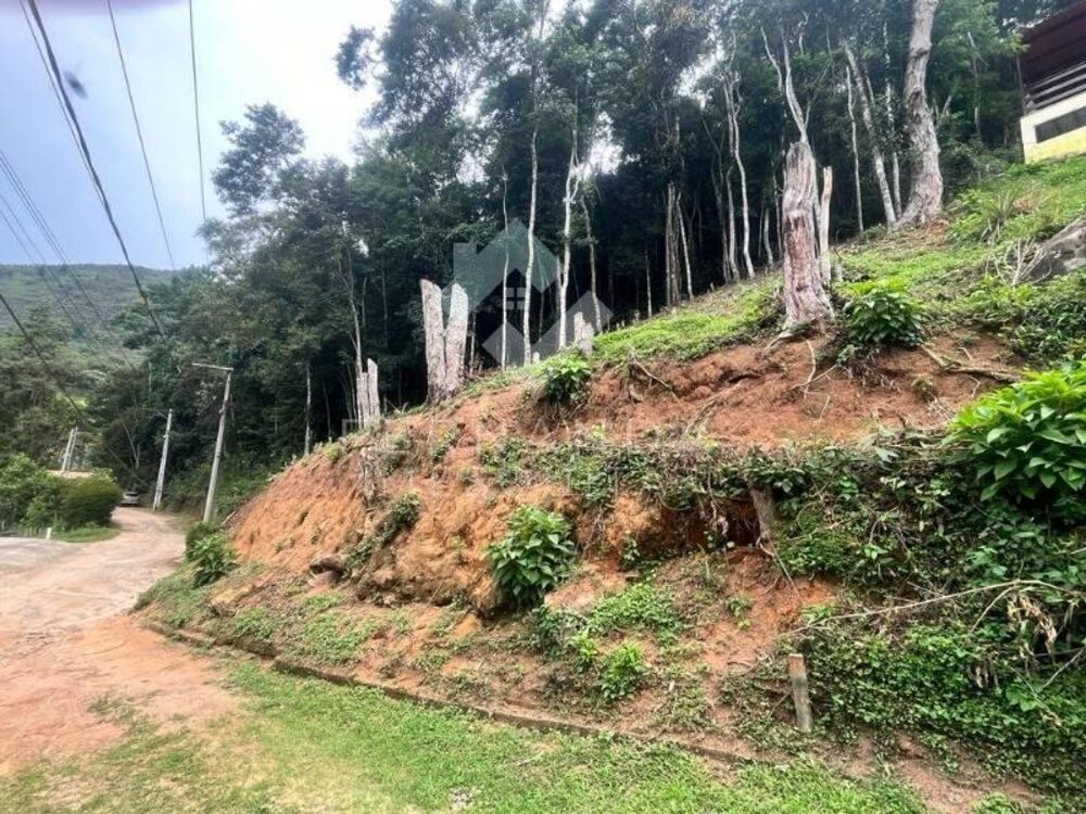 Terreno à venda - Foto 2