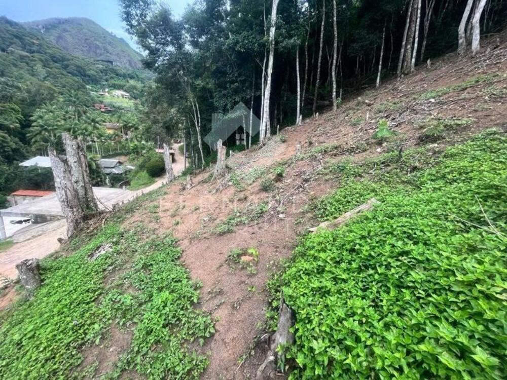 Terreno à venda - Foto 3