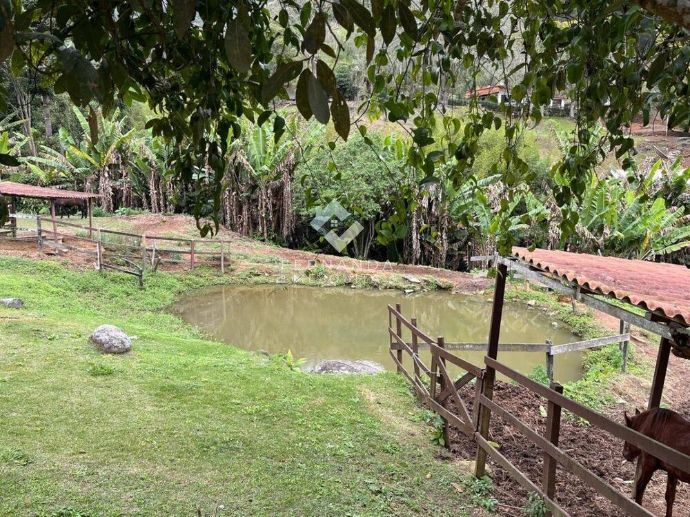 Sítio, 3 quartos, 120 m² - Foto 6