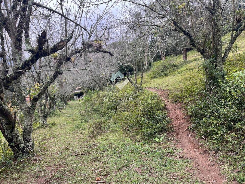 Sítio, 3 quartos, 120 m² - Foto 3