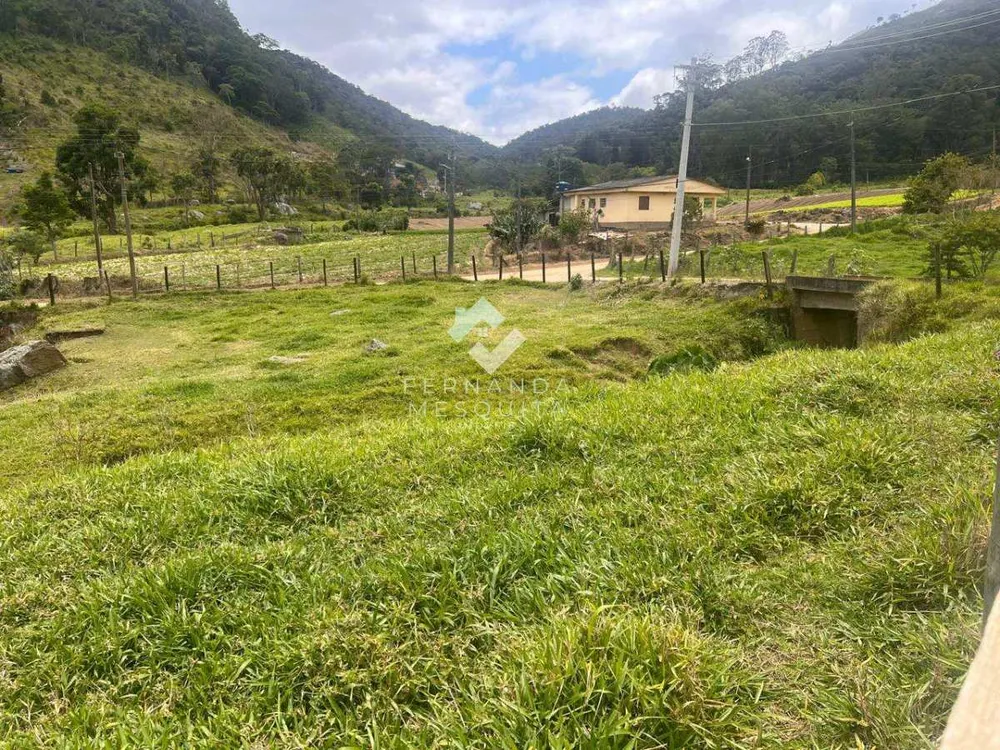 Sítio, 3 quartos, 300 m² - Foto 5