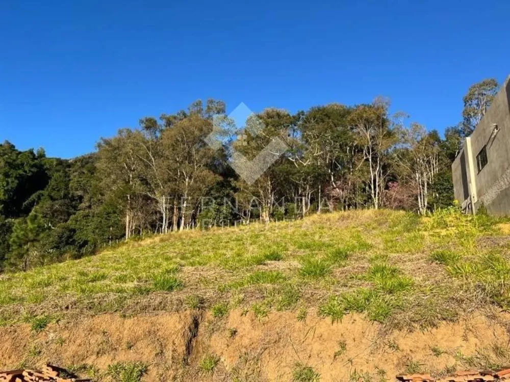 Terreno, 600 m² - Foto 7