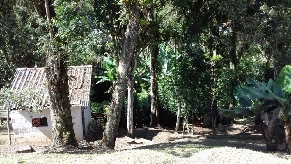 Chácara, 3 quartos, 1800 m² - Foto 7