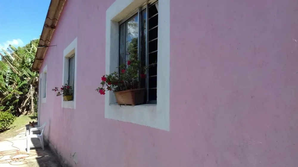 Chácara, 3 quartos, 1800 m² - Foto 8