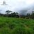 Terreno, 1260 m² - Foto 3